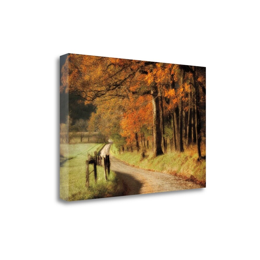 Autumns Morning Light By D. Burt - Premium Giclee Art Print on Gallery Wrapped Canvas - Ready to Hang Wall Decor - Perfect for Living Room, Bedroom & Office Decor