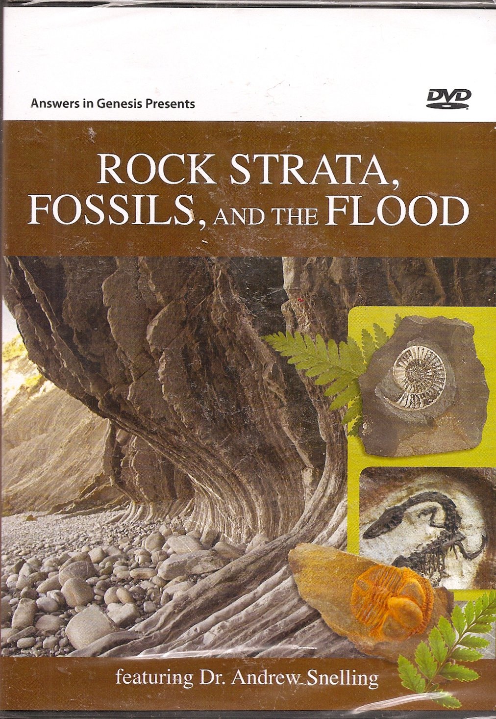 Rock Strata & Fossil Collection Kit - Geology Science Educational Set for Kids & Adults | Perfect for Homeschooling, Classroom Learning & Flood Geology Studies