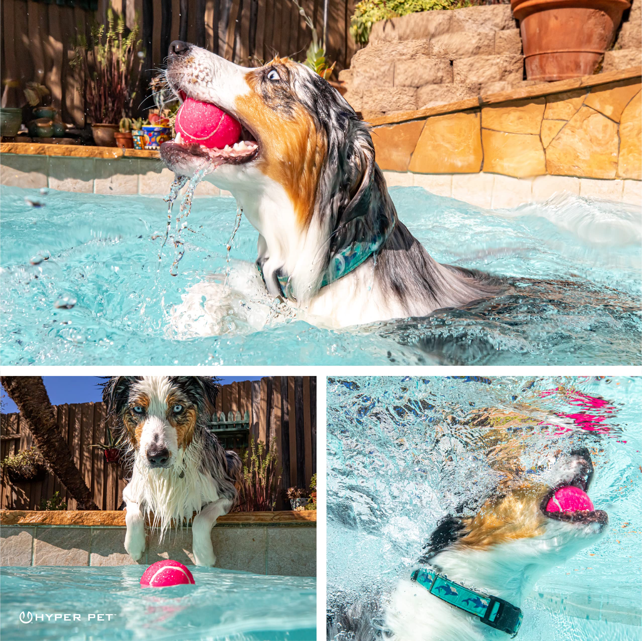 Hyper Pet Tennis Balls for Dogs - Safe, Durable 2.5