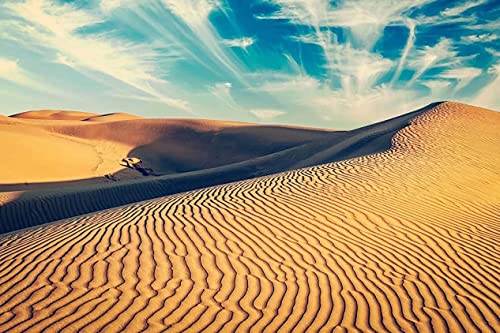 Desert Landscape