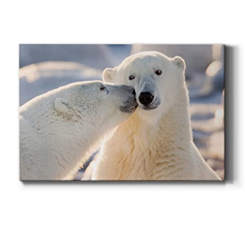 Polar Bear Kiss