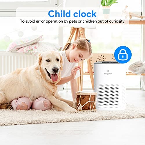 Bagotte True H13 HEPA Air Purifier for Home & Large Rooms up to 880 Sq Ft - 3-Stage Filtration System, 99.97% Removal of 0.3 Micron Particles, Ozone-Free - Perfect for Allergies, Pet Dander & Smoke Removal in Bedrooms, Living Rooms & Offices