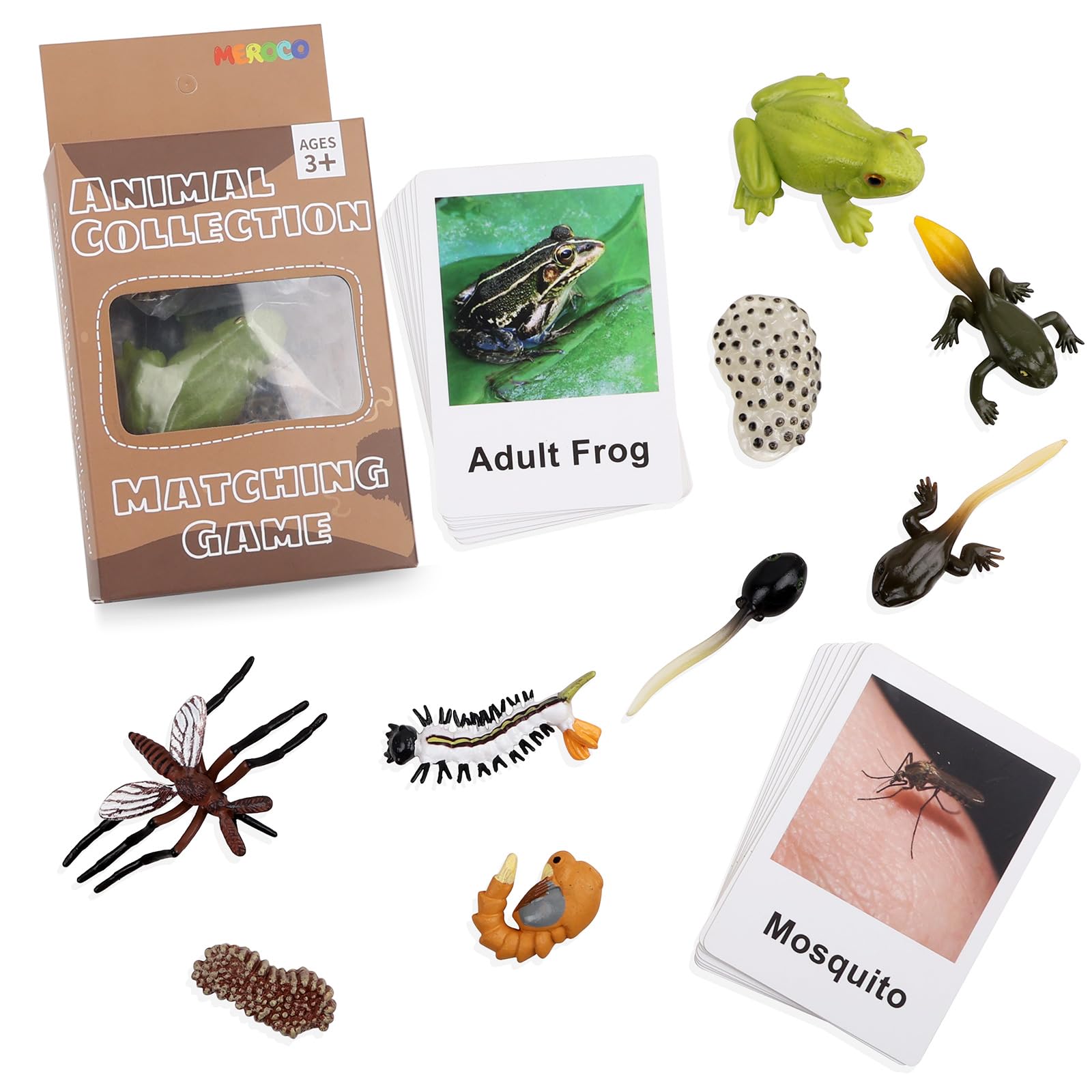 Live Tadpole to Frog Life Cycle Educational Toys for Kids 3-5 | Mosquito & Bug Figurines Set | Animal Matching Game for Toddlers | Preschool Science Learning Toys for Classroom & Homeschooling