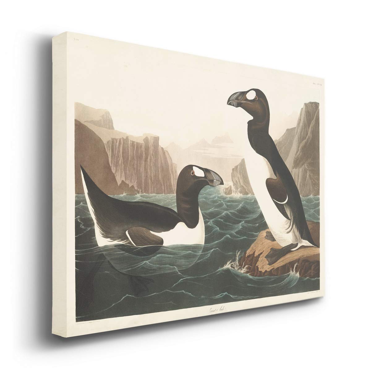 John James Audubon Great Auk Premium Canvas Wall Art - Vibrant Classic Bird Painting - 32x48 Inch Gallery Wrapped Ready-to-Hang Decor - Made in USA - Perfect for Living Room, Office or Nature-Themed Interior Design