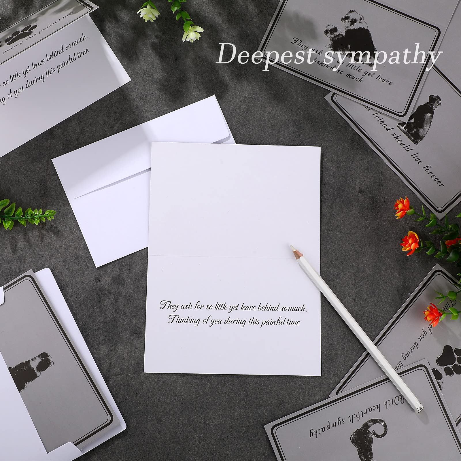 24-Piece Pet Sympathy Cards Set - Thick Condolence Greeting Cards for Loss of Dog, Cat or Beloved Pet with Envelopes | Perfect for Pet Owners, Veterinarians & Animal Lovers to Express Grief Support