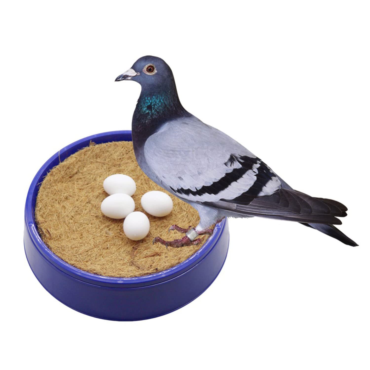 Maxmoral 12pcs Plastic Fake Pigeon Eggs - Solid Decoy Eggs for Hatching & Breeding Supplies - Perfect for Pigeon Nesting, Training, and Egg Replacement Scenarios