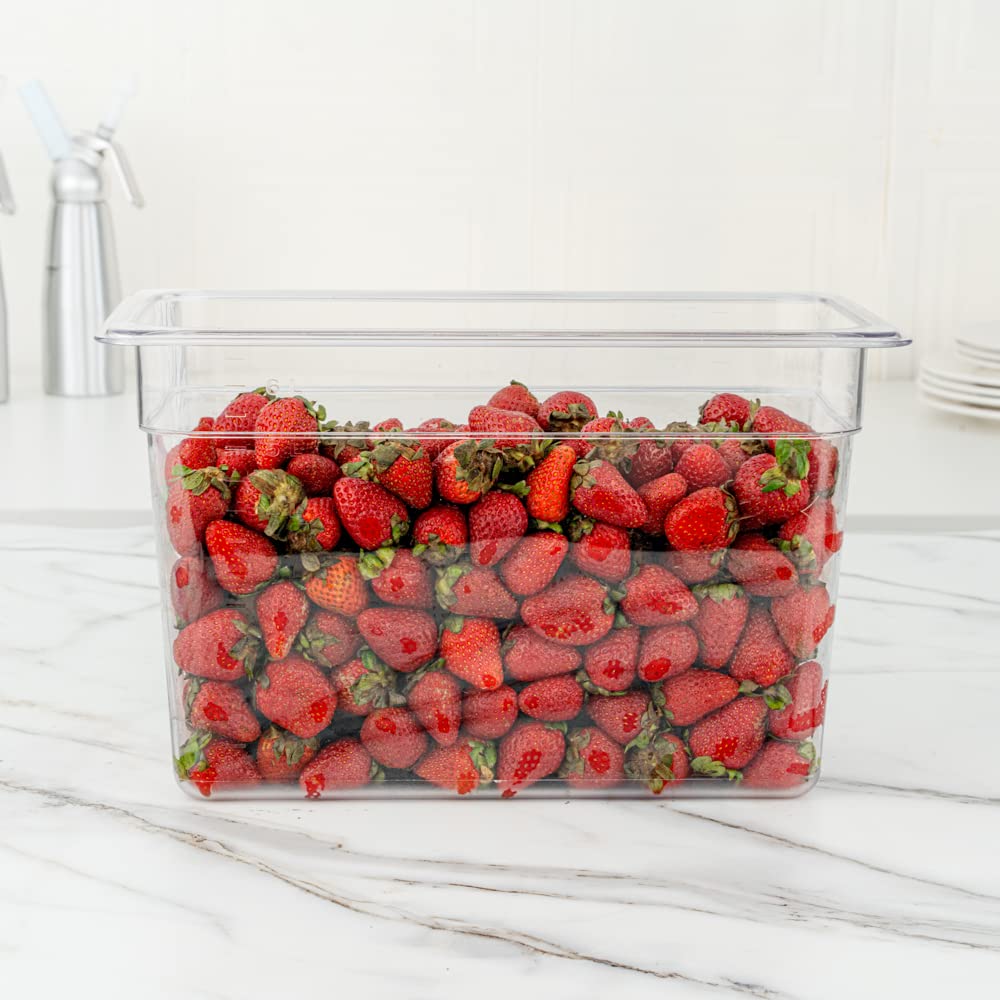 Met Lux 1/3 Size Food Storage Containers - 10 Pack 8-Inch Deep Rectangle Proofing Boxes with Graduated Measurements | Clear BPA-Free Plastic Food Grade Containers | Dishwasher Safe (Lids Sold Separately) | Perfect for Baking, Meal Prep & Leftovers Storage
