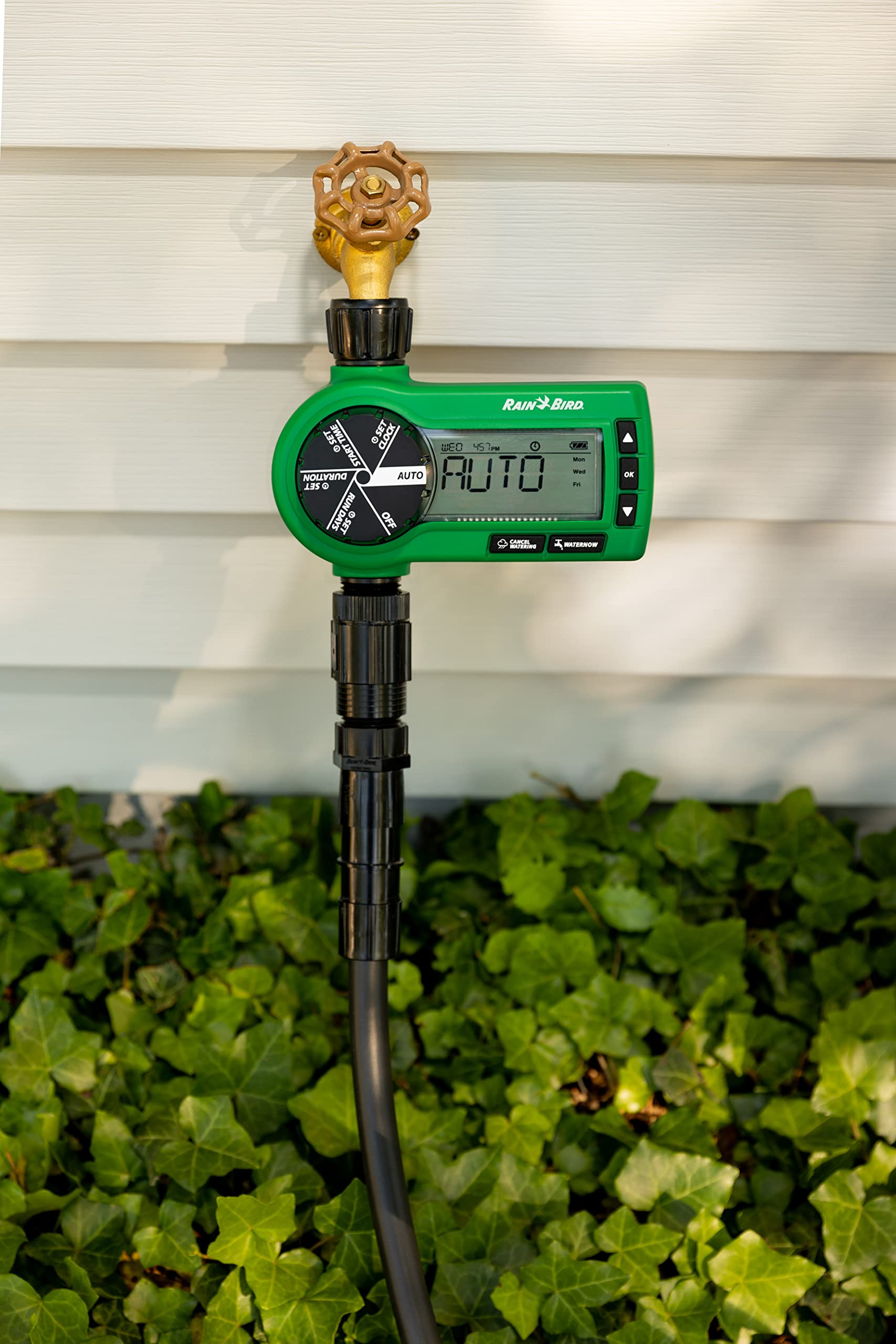 Rain Bird 1ZEHTMR Professional Grade Digital Hose Timer - Battery Operated Watering Controller for Garden, Lawn & Landscape Irrigation (1 Zone/Station) | Perfect for Automatic Sprinkler Systems & Drip Irrigation