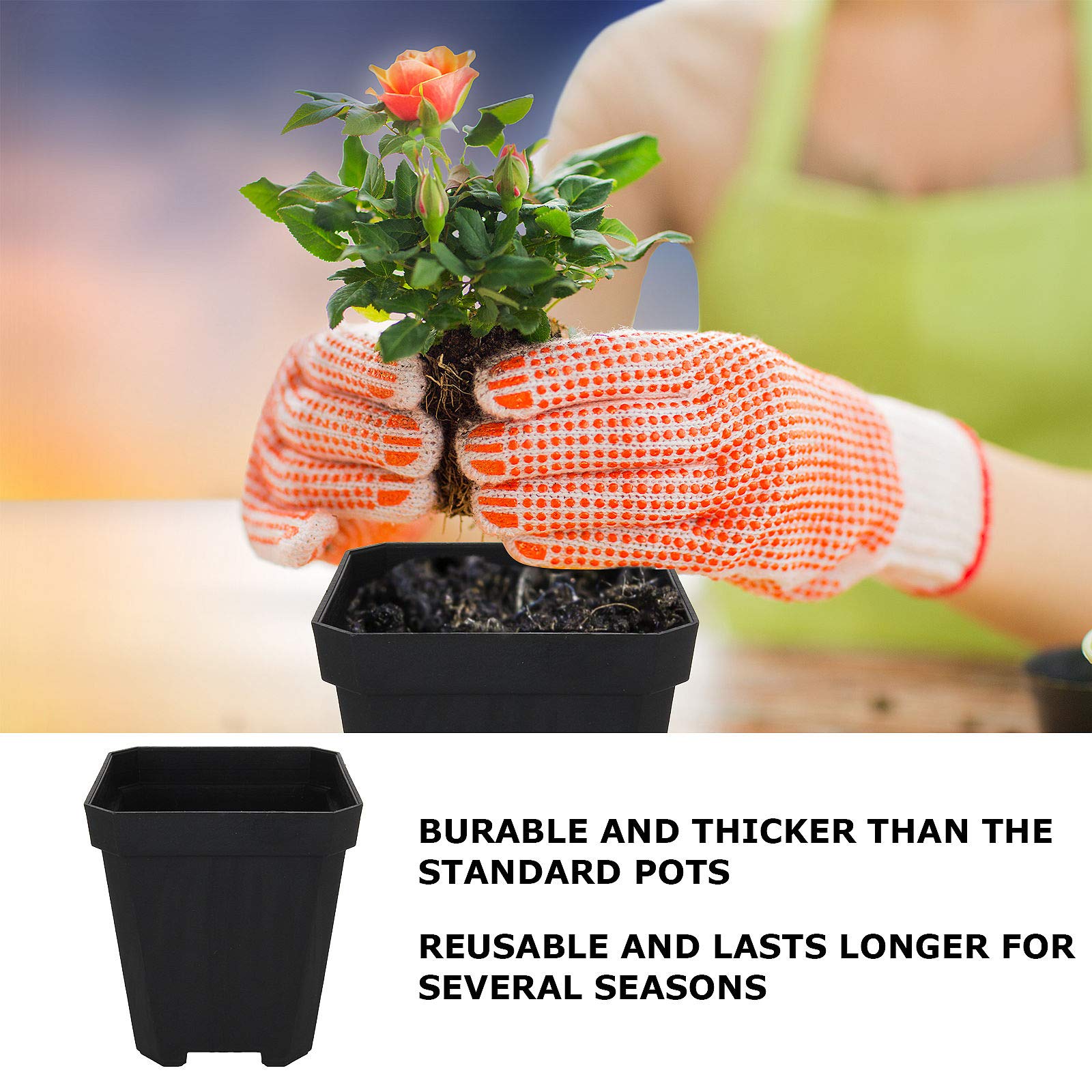 60pcs Black Plastic Square Nursery Pots with Drainage Holes - Thick Durable Seed Starting Pots for Plant Germination, Indoor Herb Garden, Flower Planting - Perfect for Home Gardening, Greenhouses & Modern Decor