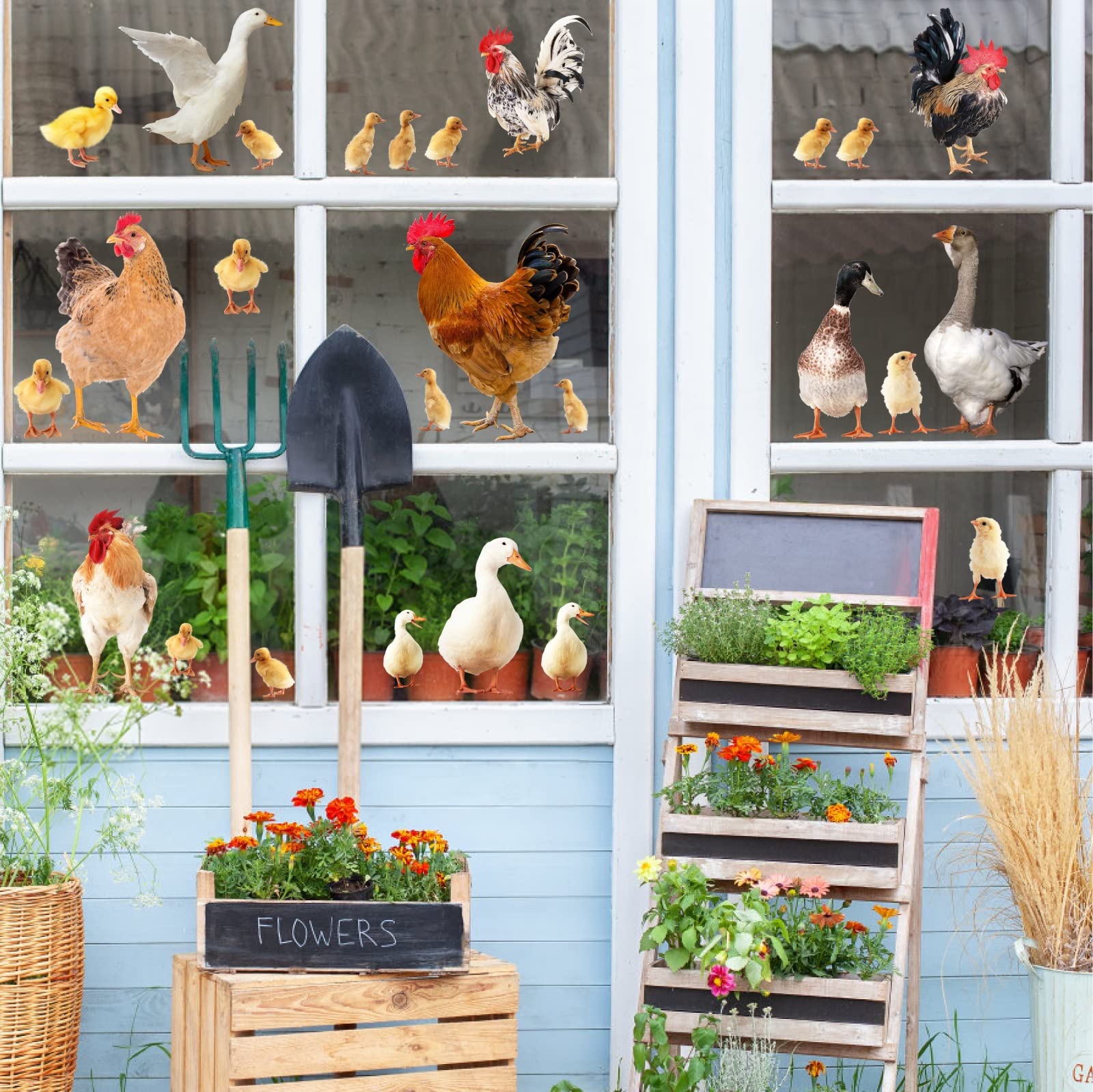 Funny Peel and Stick Chicken Rooster Wall Decals - Farm Animal Kitchen Wall Stickers for Cabinets, Doors & Windows - Cute Farmhouse Decor for Home, Nursery & Office
