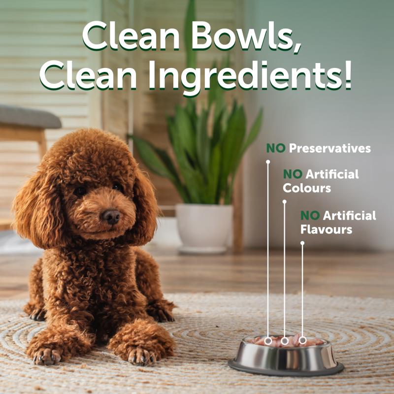 Premium Tuna & Rice Wet Dog Food for Adult Dogs - All Breeds, High Protein & Grain-Inclusive - Perfect for Mealtime, Training & Senior Dogs