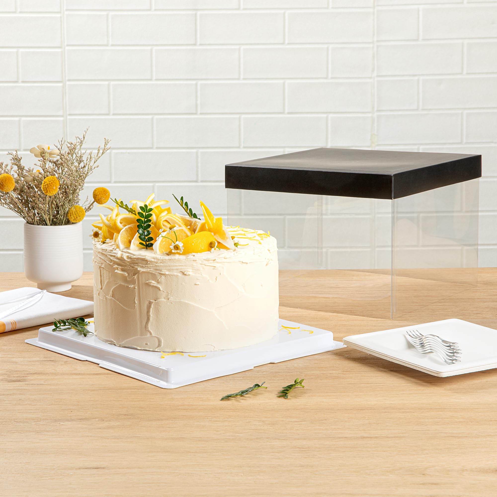 10-Pack Clear Plastic Cake Boxes 8.5