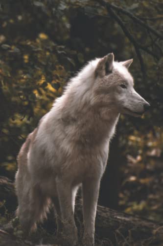 Solo Wolf Mountain Notebook - Lined Journal for Creative Writing, Poetry & Diary - Premium Wolf Design - Perfect for Outdoor Adventures, Travel & Gift Giving