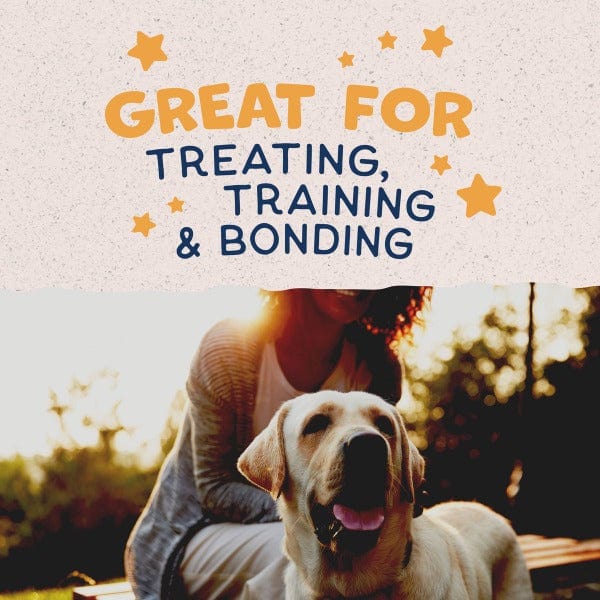 Natural Balance Crunchy Dog Biscuits with Real Duck Recipe - 14oz Bag - Grain-Free Treats for Small & Large Dogs - Perfect for Training & Rewarding Pets