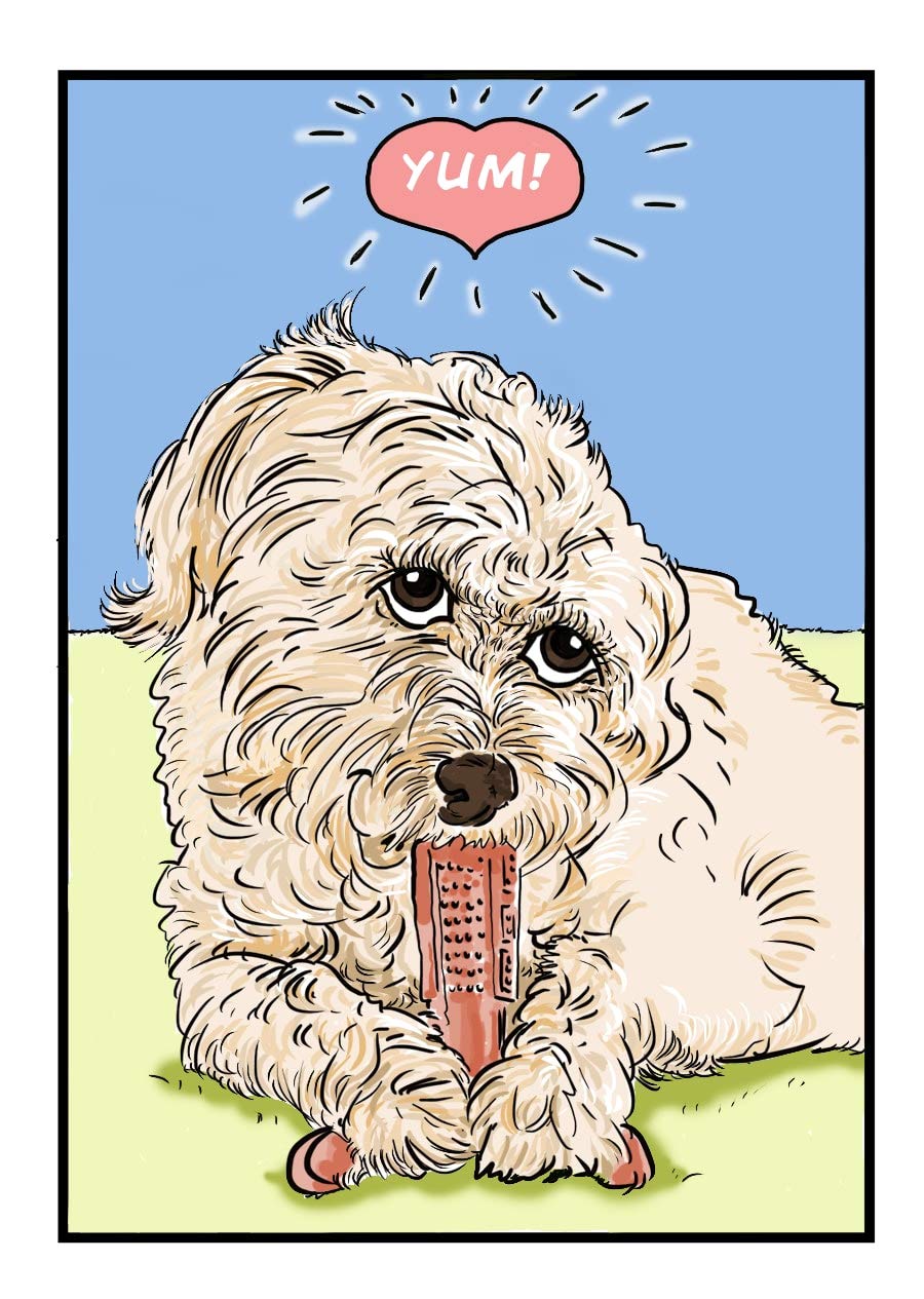 Bamboodles T-Bone Dog Chew - Natural Long-Lasting Dental Treat for Aggressive Chewers - Small Chicken Flavor - Perfect for Teething Puppies & Strong Chewers - Promotes Dental Health & Reduces Anxiety