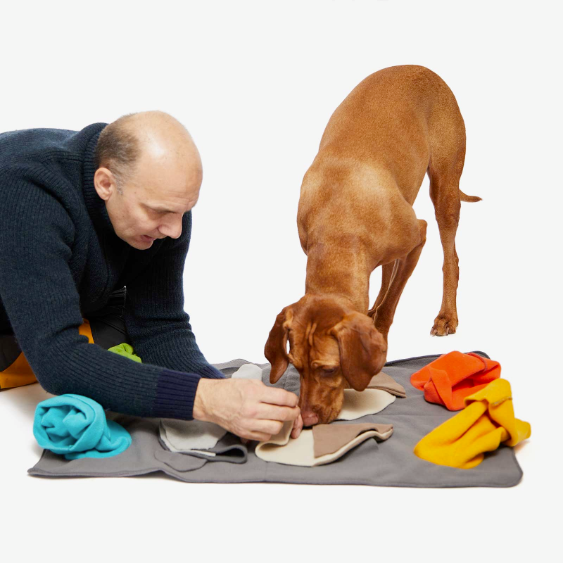 Interactive Dog Sniff & Search Puzzle Game - Nosework Training Mat with Scent Elements for Mental Stimulation & Enrichment | Perfect for Indoor Play, Training Sessions & Canine Enrichment Activities