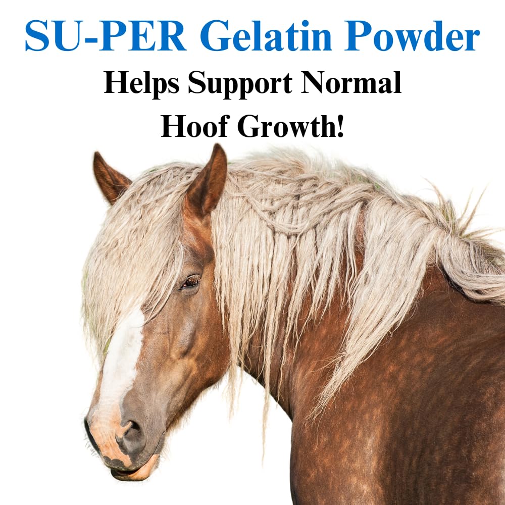Premium Horse Hoof Supplement with Gelatin Powder for Joint Support & Healthy Hooves Growth - 2.5lb (2 Pack) - Ideal for Equine Hoof Care & Joint Maintenance in Training & Recovery