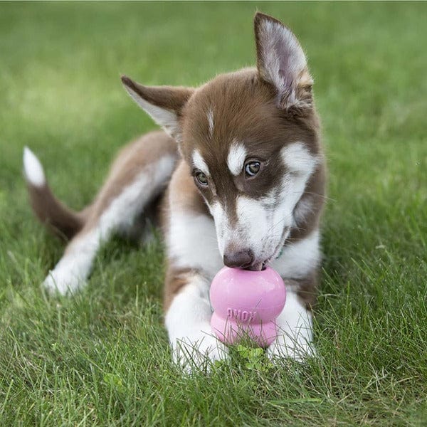 KONG Easy Treat Puppy Dog Training Treats - Soft Chewable Rewards for Small Breed Puppies | Perfect for Obedience Training, Crate Training & Positive Reinforcement at Home