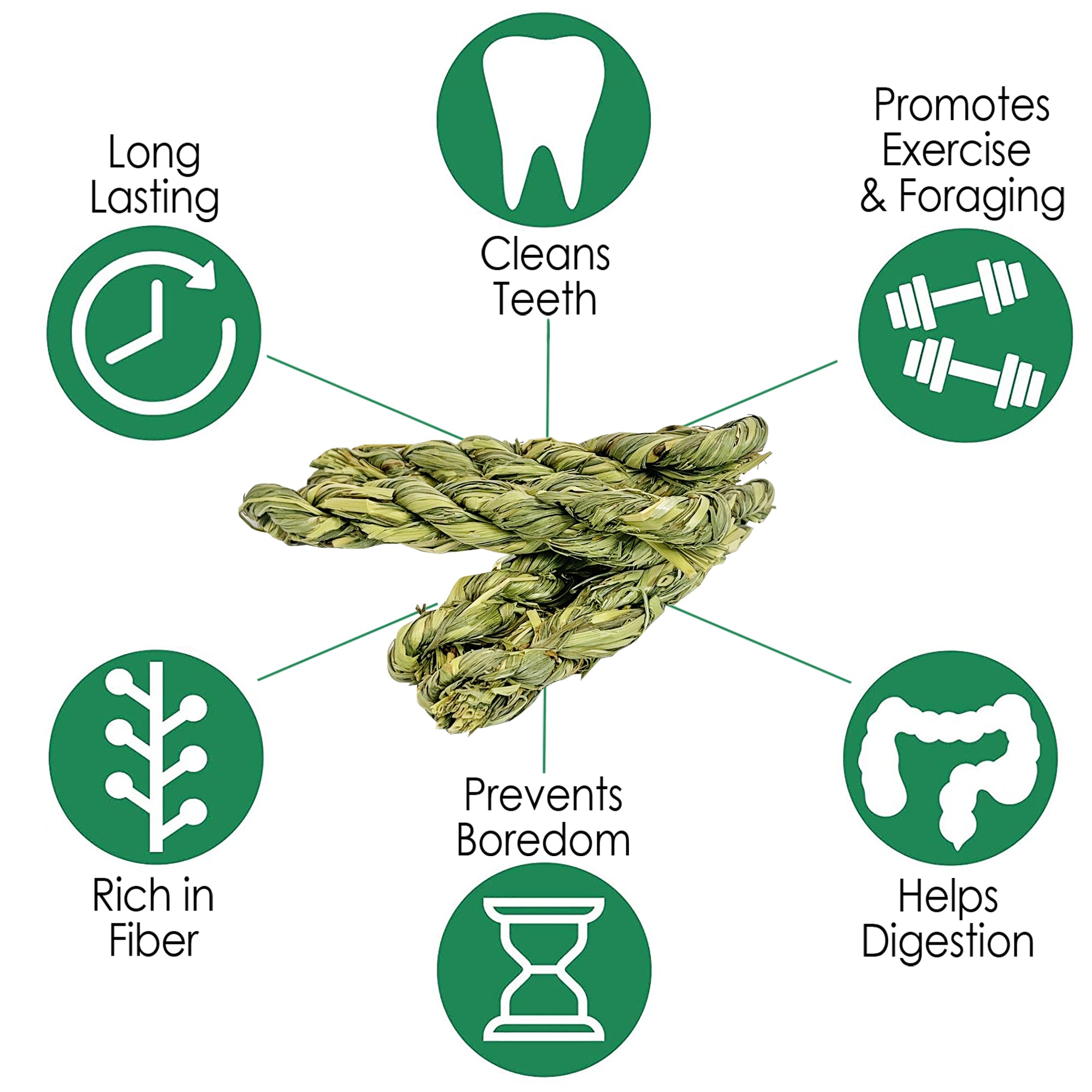 Timothy Twists - Premium Handmade Organic Cotton Rope Dog Chew Toys for Puppies & Small Dogs | Safe, Durable & Natural Teething Toy for Indoor & Outdoor Play