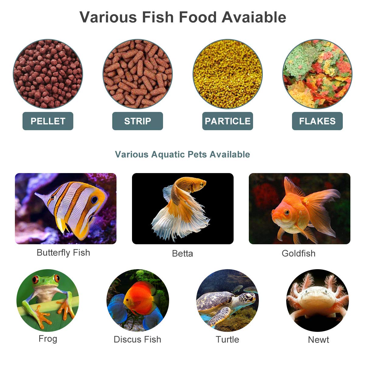 Automatic Fish Feeder with Digital Timer - Smart Aquarium Food Dispenser for Home & Office Use - Perfect for Vacation & Daily Feeding