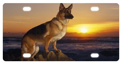 German Shepherd Dog Novelty License Plate - 6
