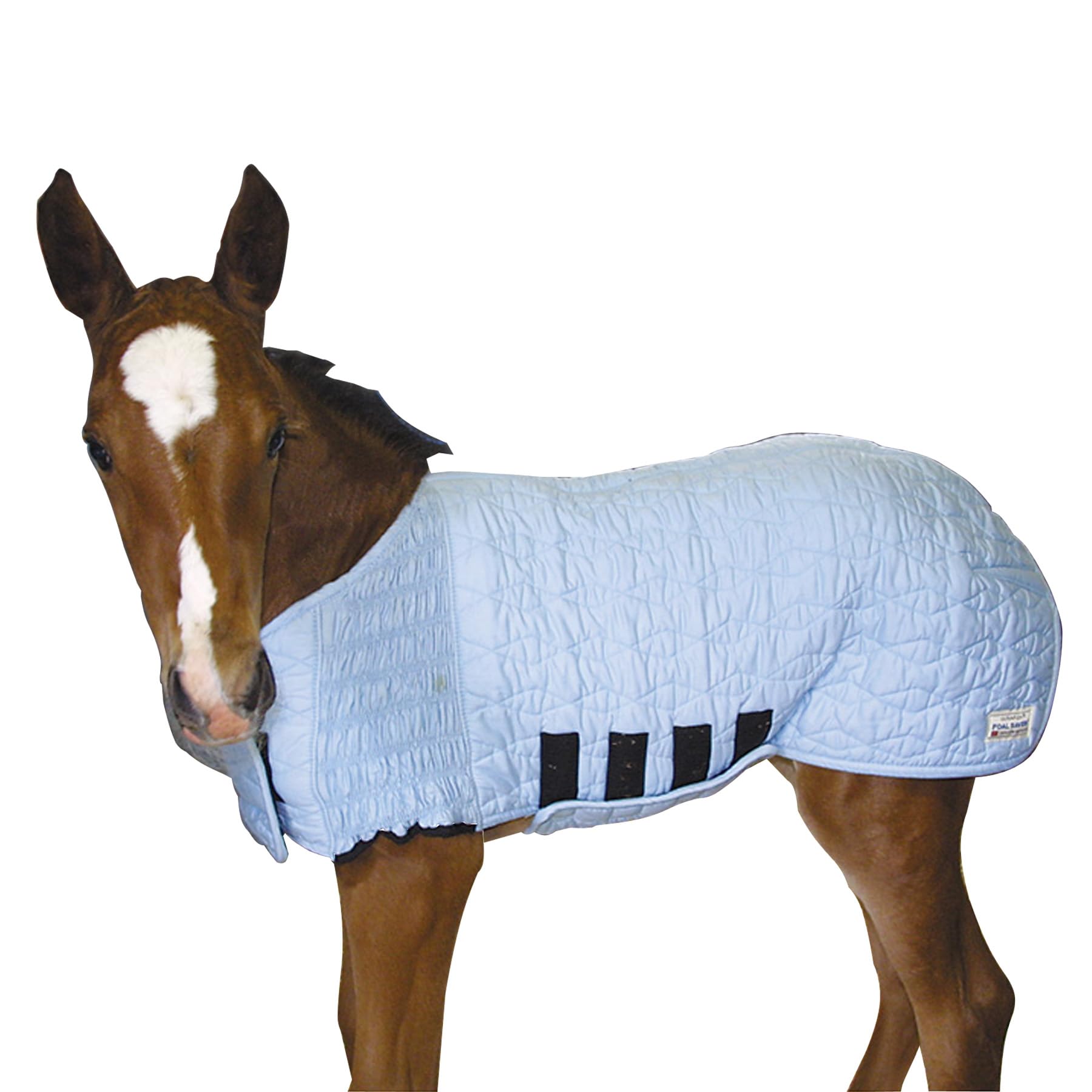 UltraFlex Lightweight Foal Blanket for Horses - Tekno-Dri Technology & Breathable Cotton Mini Horse Blanket | Cold Weather Protection for Foals & Miniature Horses | Perfect for Winter Stables, Outdoor Grazing & Show Preparation