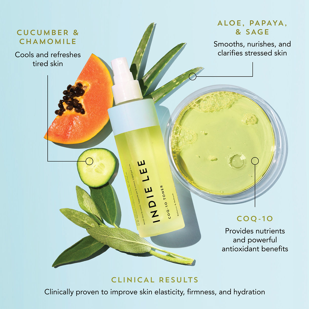 Indie Lee Rebalance & Prime CoQ10 Toner for Oily & Combination Skin - Hydrating Facial Toner with Antioxidants for Daily Skincare Routine