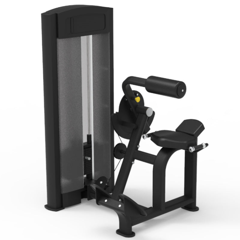 Pegasus 2S Pin Loaded Back Extension Machine - Professional Home Gym Equipment for Strength Training & Core Workouts - Perfect for Home Gym, Fitness Studio & Physical Therapy
