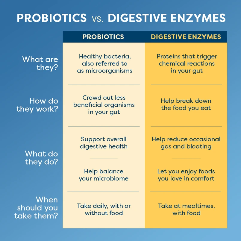 DigestMore Enzymes - 90 Vegan Capsules for Digestive Support | Plant-Based Supplement for Gut Health & Bloating Relief | Ideal for Vegan Diet & Active Lifestyle
