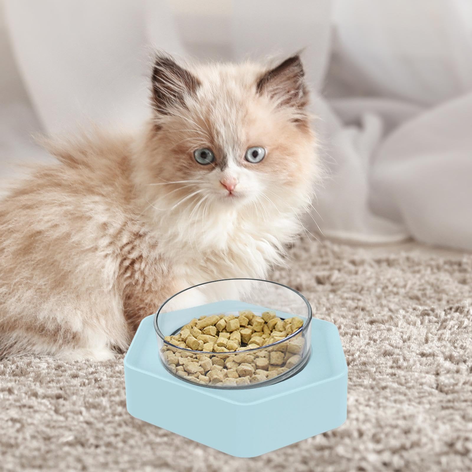 Enakshi Stainless Steel Dog Bowl - Durable Pet Food & Water Dish for Small & Medium Dogs & Kittens - Non-Slip Base, Easy Clean - Perfect for Home, Travel & Outdoor Use - Blue Pet Supplies