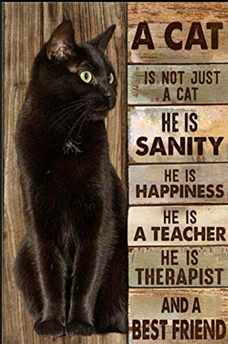 Black Cat Metal Sign 12x8 Inch - Funny Cat Lover Wall Art for Home Decor, Kitchen, Office & Man Cave - Unique Gift for Cat Owners