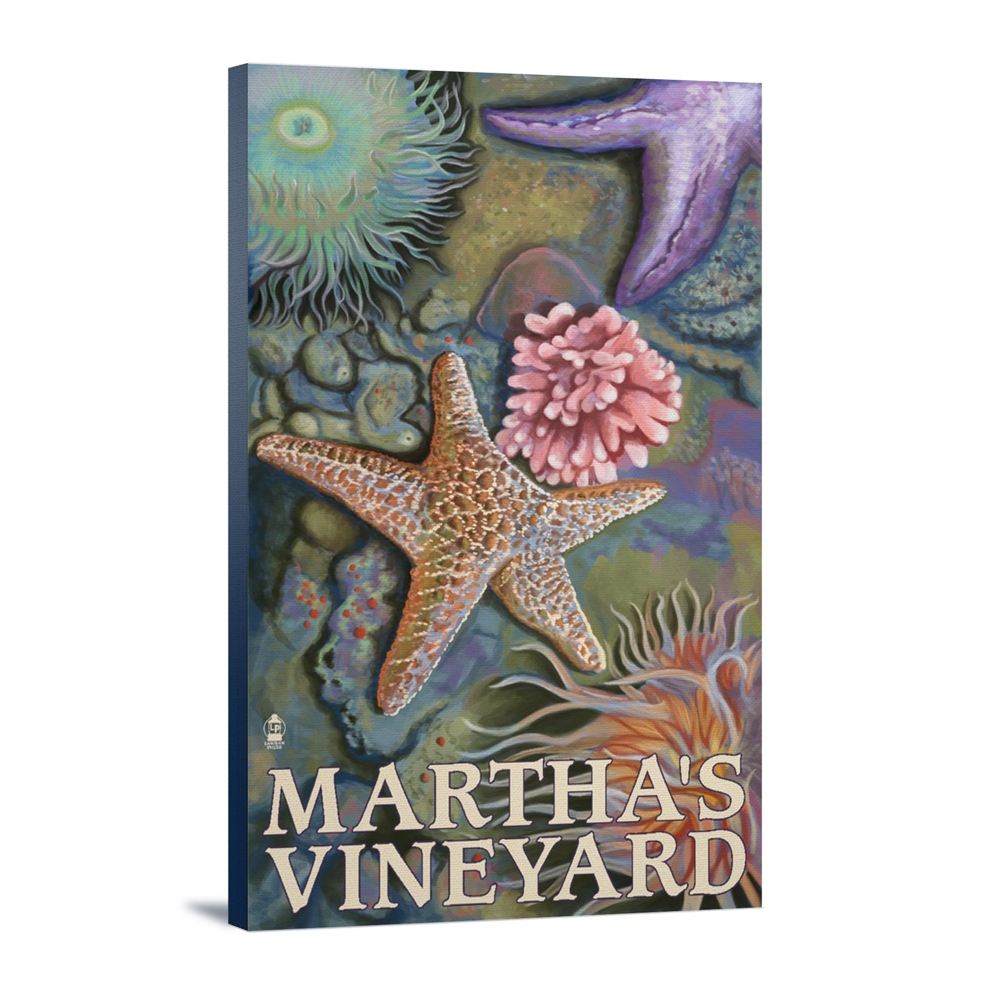 Lantern Press Martha's Vineyard Tidepools Wall Art - 16x24 Wrapped Canvas Print for Coastal Home Decor, Beach House Living Room & Office Wall Decor - Perfect Nautical Gift for Ocean Lovers