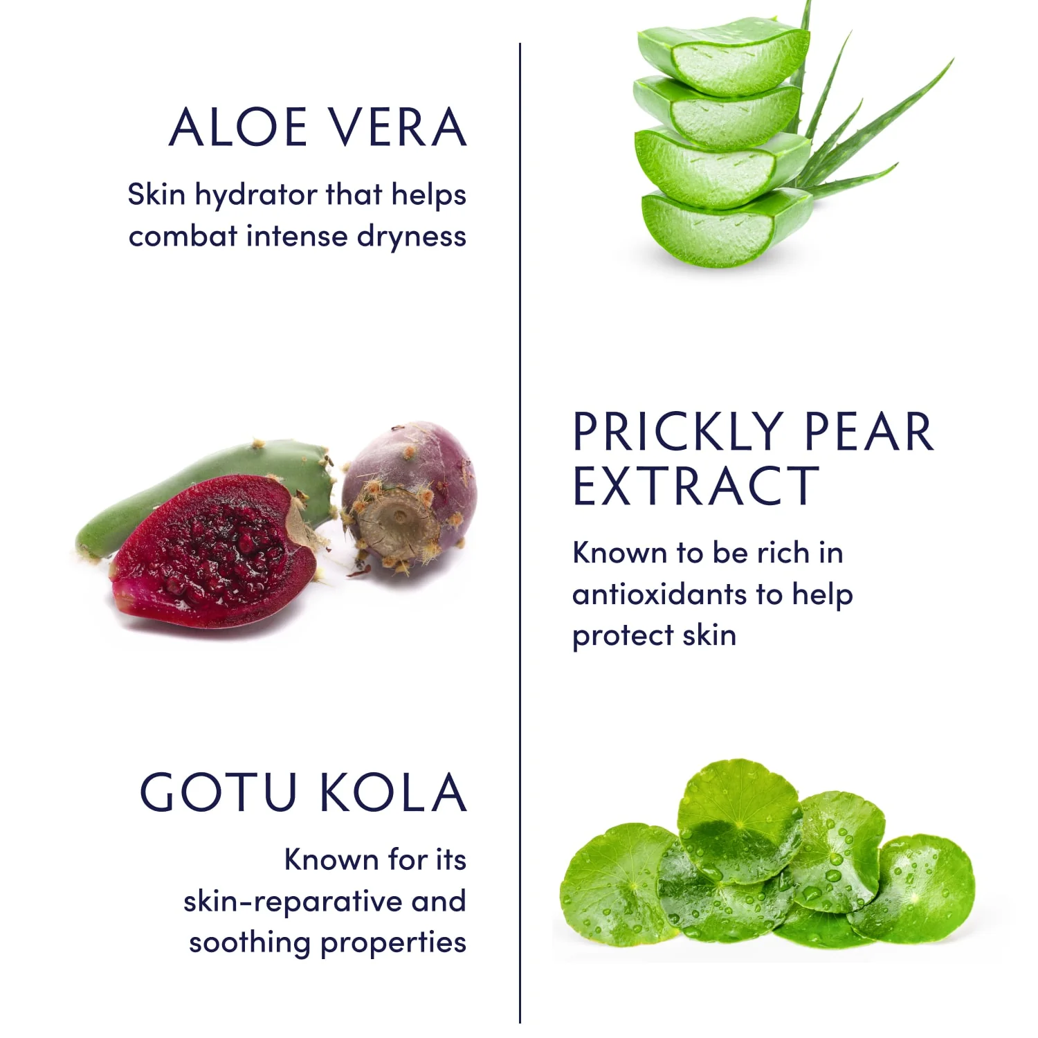 Naturopathica Aloe Vera Replenishing Gel Mask - Soothing Hydration for Dry & Sensitive Skin | Perfect for Post-Sun Care & Daily Moisturizing