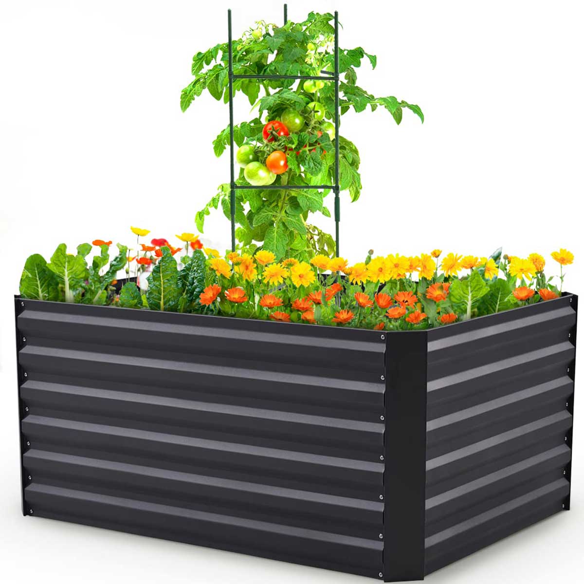 Elevated Raised Garden Bed Kit for Vegetables, Herbs & Flowers - Durable Outdoor Planter Box for Backyard, Patio & Balcony Gardening