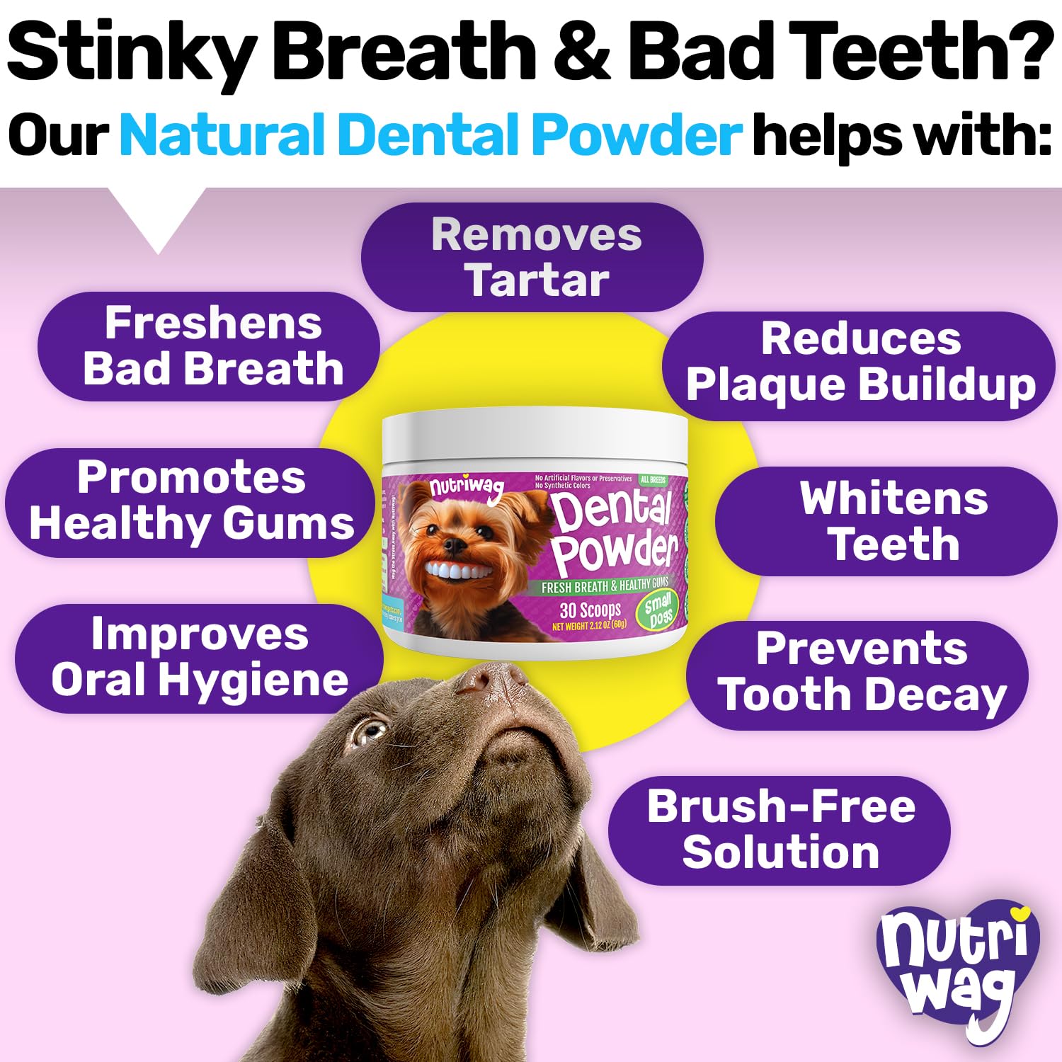 Natural Dental Powder for Dogs - Plaque & Tartar Control, Fresh Breath & Healthy Gums - No Brushing Needed - Ideal for Large Breed Dogs - Perfect for Daily Oral Care & Dental Hygiene Maintenance