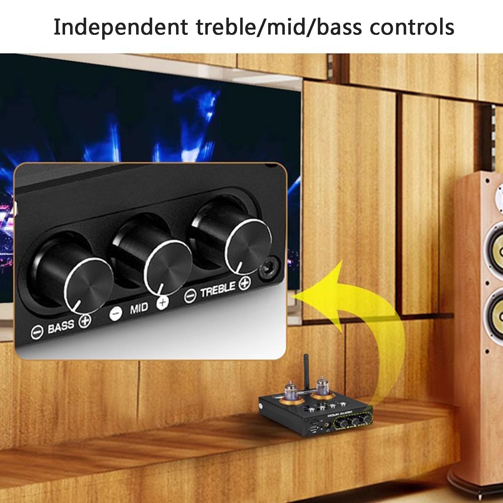 2 Channel Class D Digital Mini Hi-Fi Tube Amplifier with Bluetooth 5.0 & Remote Control - Compact Power Amp for Headphones & Home Audio Systems | Perfect for Living Room, Bedroom & Office Music Listening