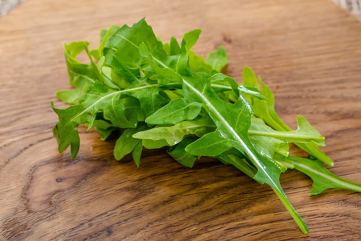 Organic Arugula Seeds - Non-GMO, Fast-Growing (20 Days) - Duckweed & Broadleaf Salad Greens for Planting - Perfect for Home Gardens, Microgreens & Healthy Salads