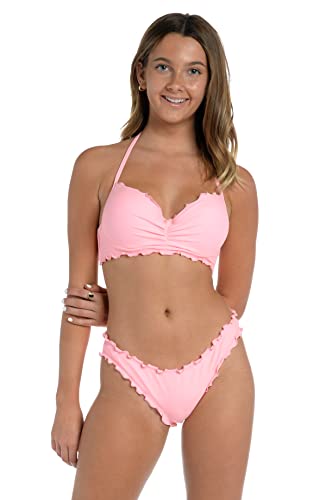 Flamingo//Solids