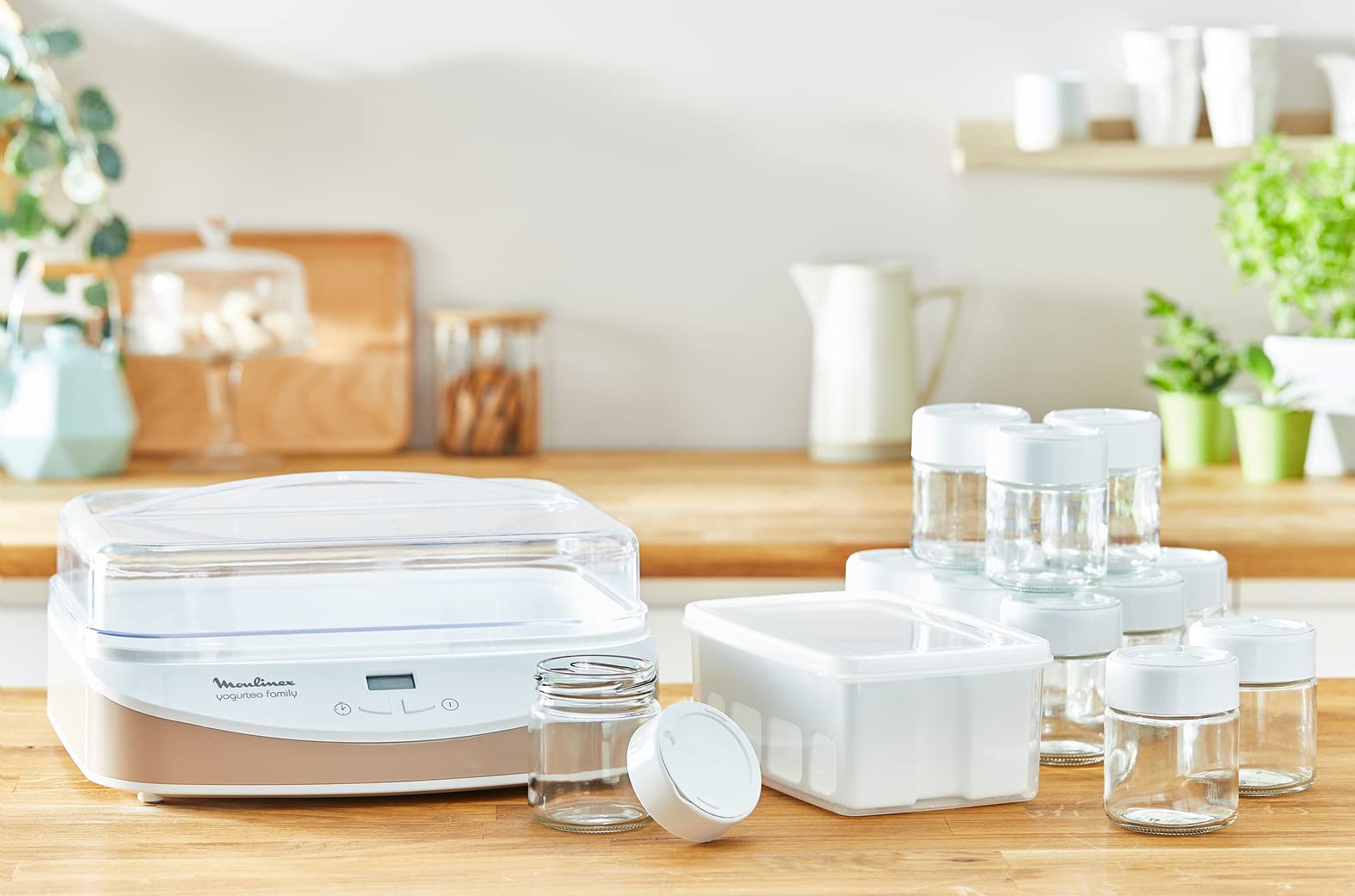 12-Cup 200ml Yogurt Maker with 21W Power - YG233A10 | Perfect for Homemade Yogurt, Probiotic Drinks & Healthy Snacks at Home