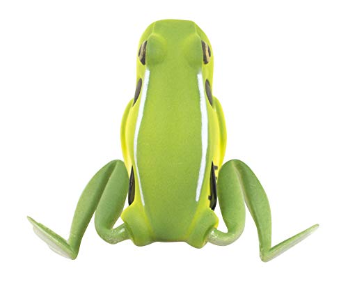 Bull Frog