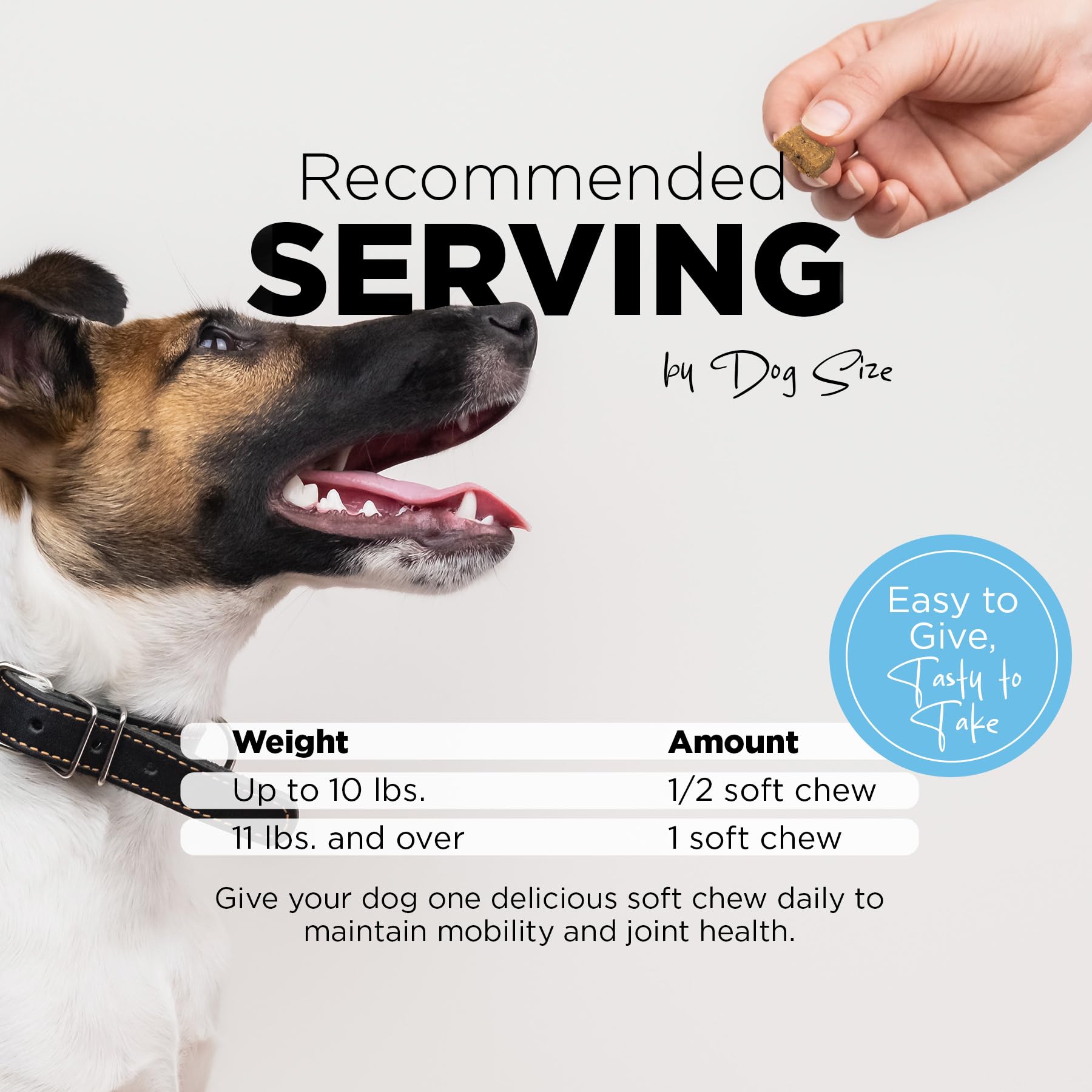 PetJoy Thrive Dog Multivitamin Soft Chews - Daily Supplement for Energy, Skin & Coat Health, Strong Bones & Teeth - Complete Multivitamin for Dogs & Pets (60 Count) - Perfect for Active Dogs & Senior Pets