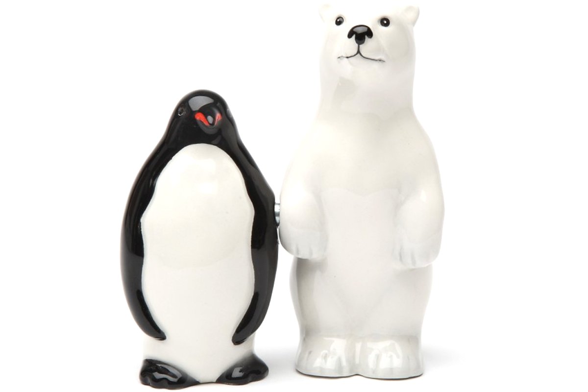 Pacific Giftware Polar Opposites Magnetic Ceramic Salt and Pepper Shakers Set - Perfect for Kitchen, Dining Table & Gift Giving