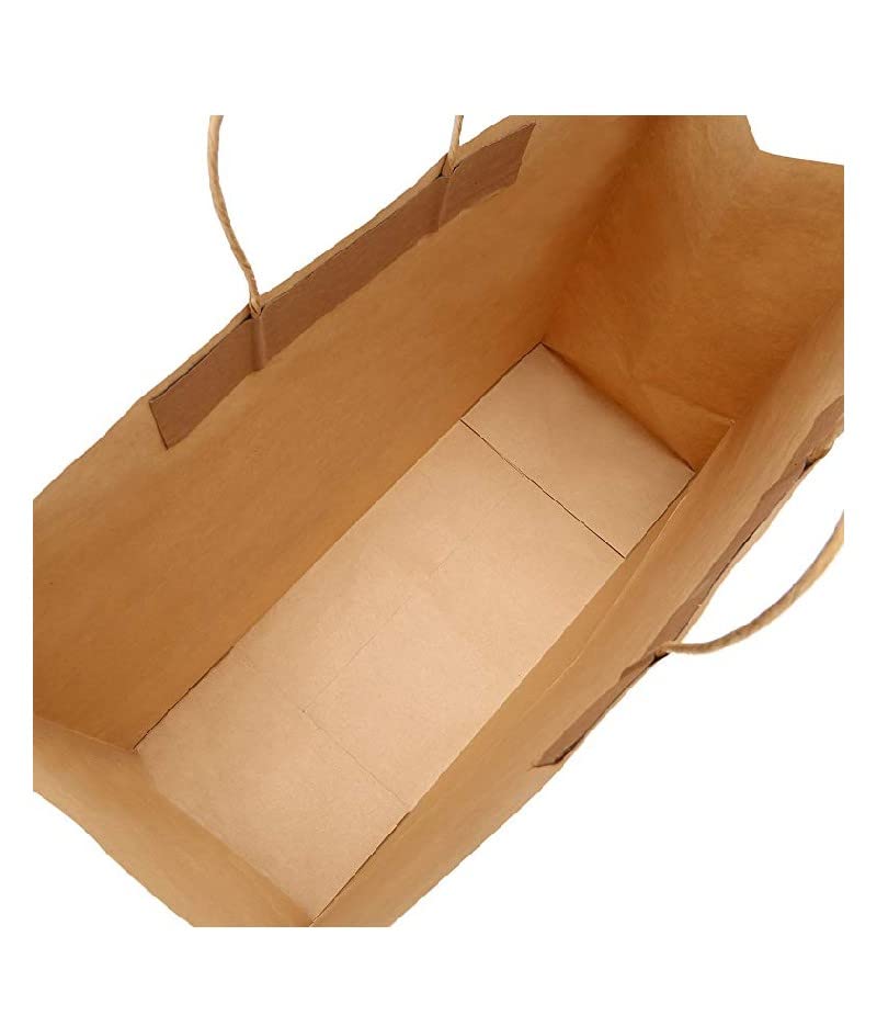 Eco-Friendly Brown Paper Gift Bags 25pcs - Large 16x12x5 Shopping Bags for Retail & Party Favors