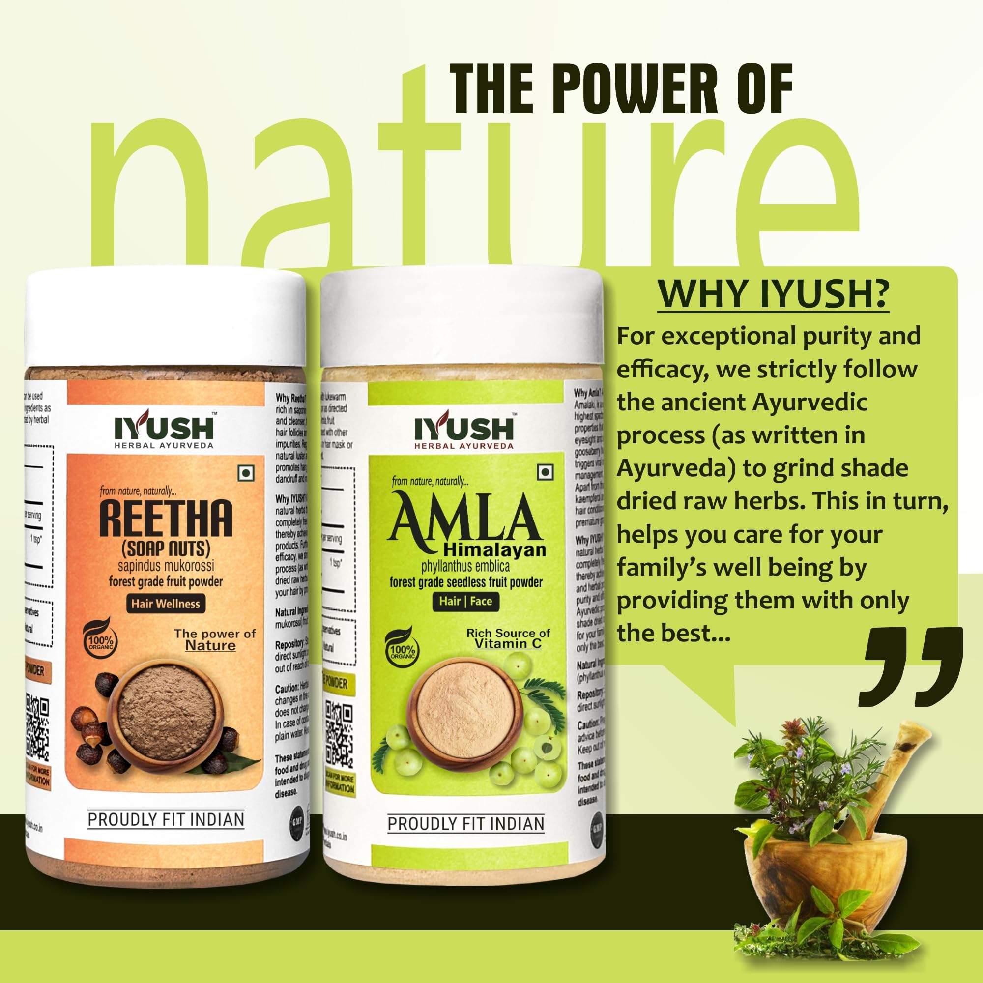 IYUSH Herbal Ayurveda Amla & Reetha Powder for Hair Growth & Scalp Care - 100% Natural Hair Treatment (Pack of 2 x 100g) - Promotes Stronger, Longer Hair & Reduces Hair Fall - Perfect for DIY Hair Masks & Ayurvedic Hair Care Routines