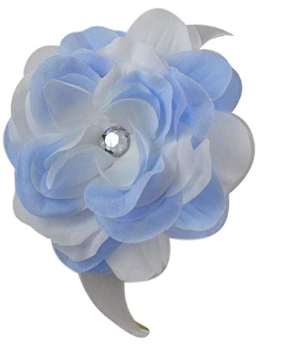 Light Blue & White