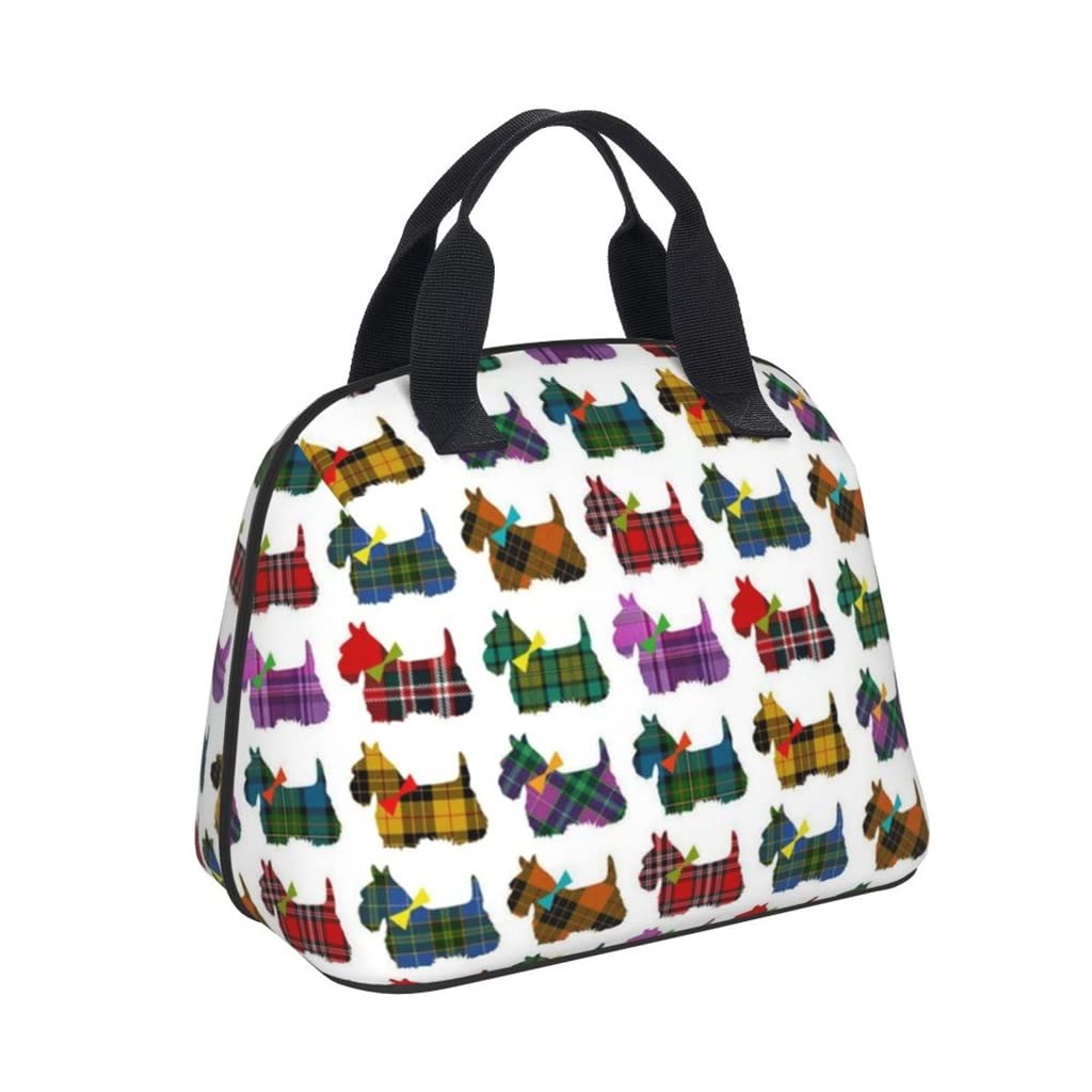 EODNSOFN Insulated Lunch Bag for Women - Large Thermal Food Container with Cute Cartoon Print, 28x24x18.5cm - Perfect for School, Work, Picnic & Outdoor Activities (Color A)