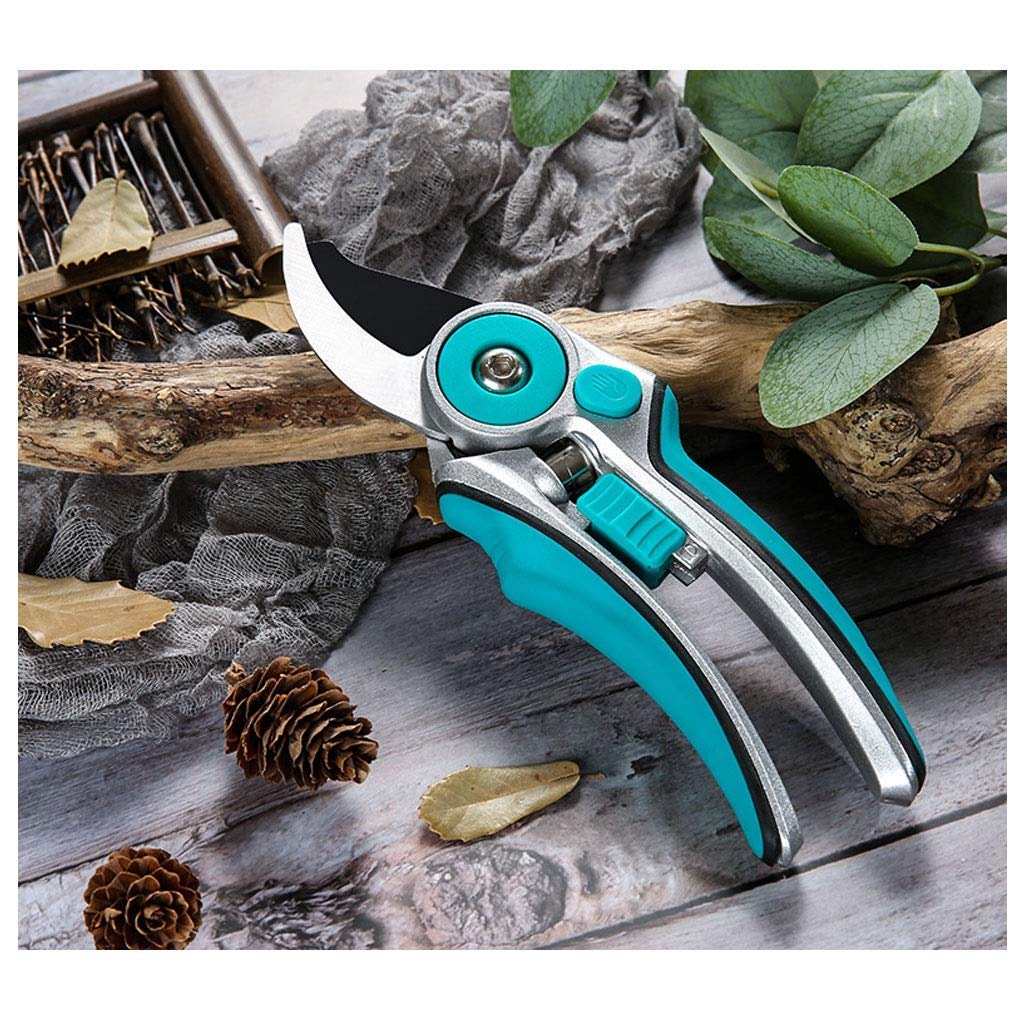Premium Stainless Steel Garden Pruning Shears - Sharp Bypass Pruner for Trimming Branches, Stems & Plants | Ergonomic Gardening Scissors with Non-Slip Handles (Blue) | Ideal for Home Gardeners, Landscaping & Outdoor Plant Care