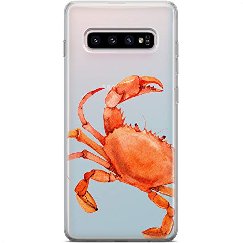 Beach Crab
