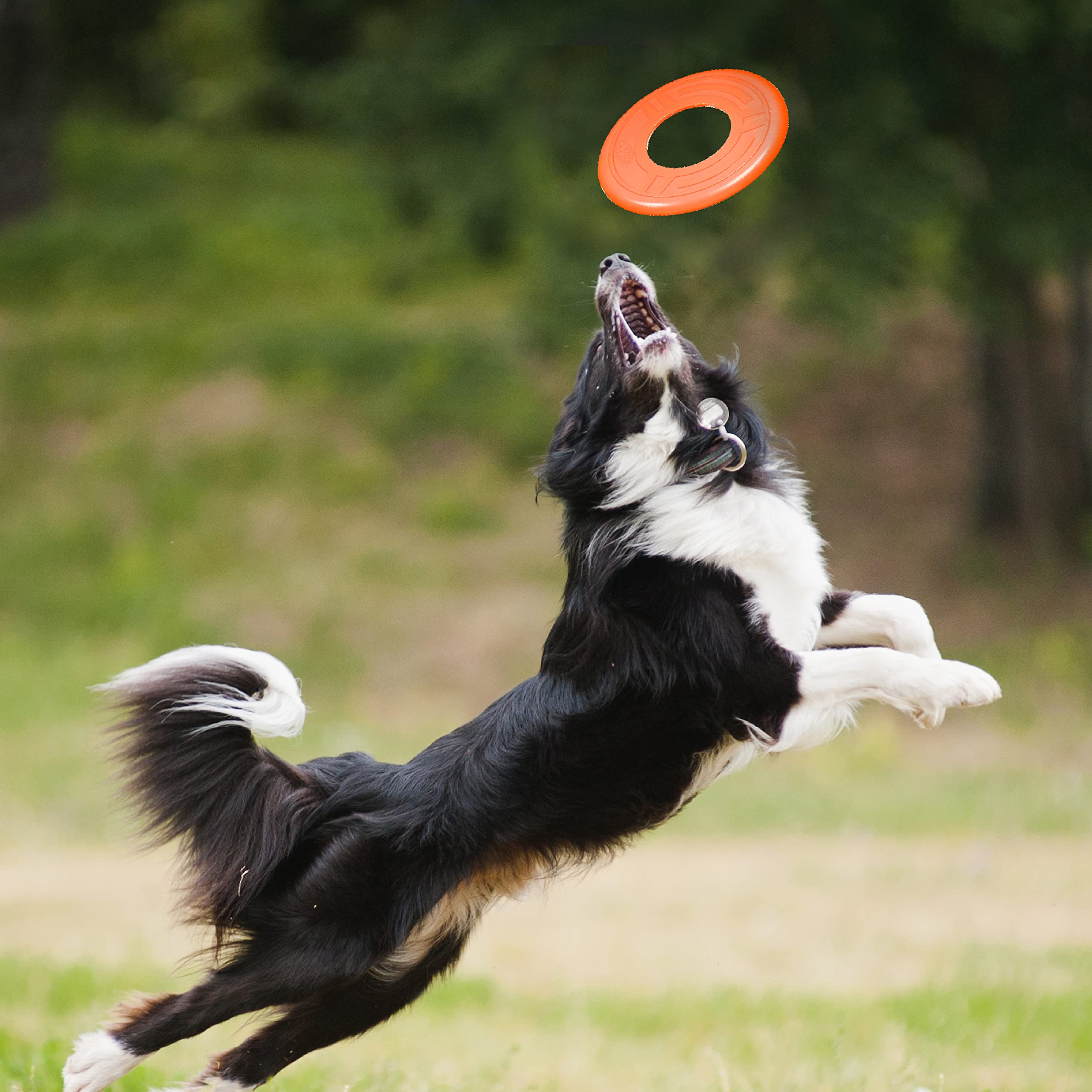Nerf Dog Atomic Flyer - 10 Inch Durable Rubber Flying Disc Dog Toy for Medium & Large Breeds - Outdoor Fetch Toy for Active Dogs - Perfect for Beach, Park & Backyard Playtime