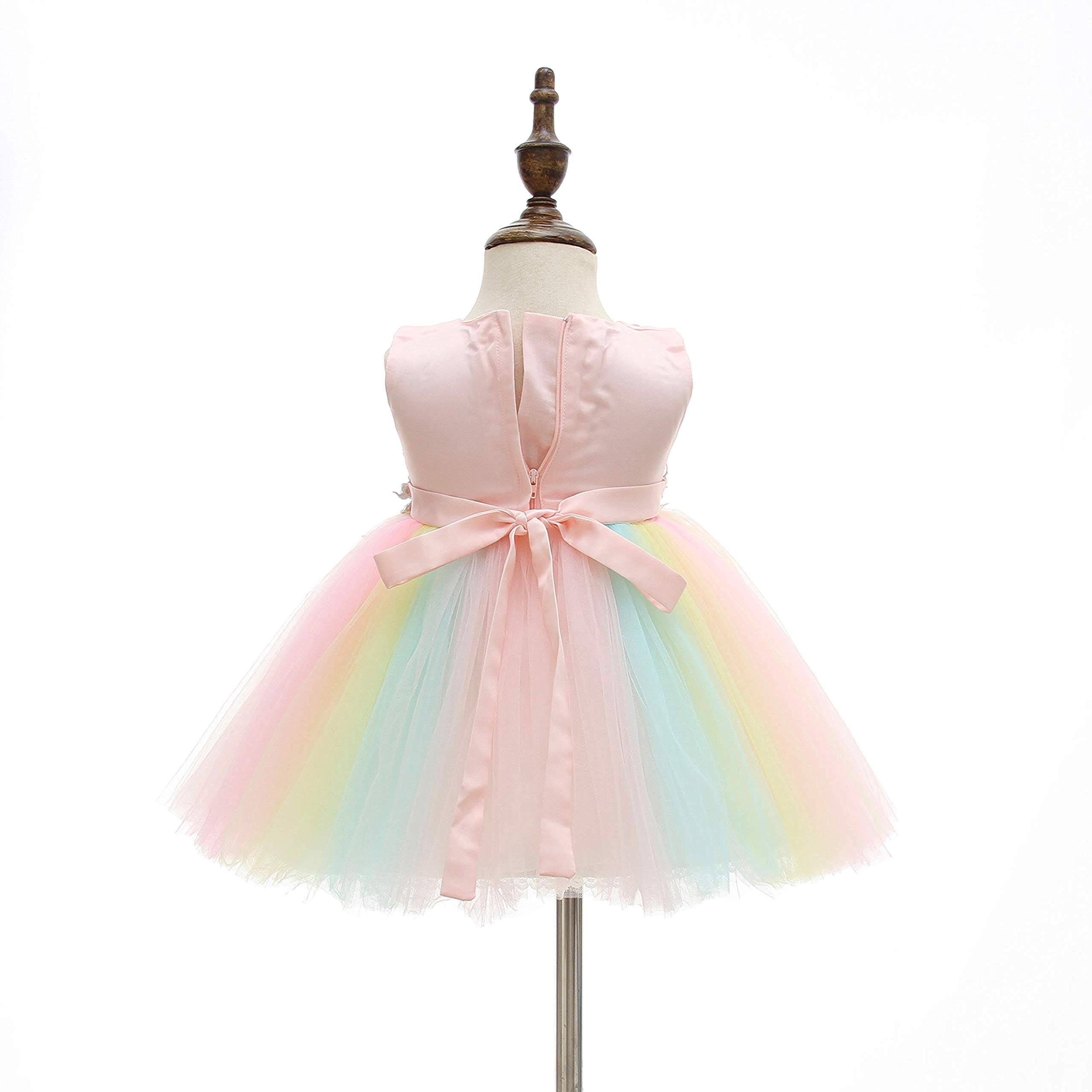 Weileenice Baby Girls Wedding Dress - Rainbow Tulle 3D Embroidery Beading Princess Tutu Dress for Flower Girls, Baptism, First Communion & Special Occasions